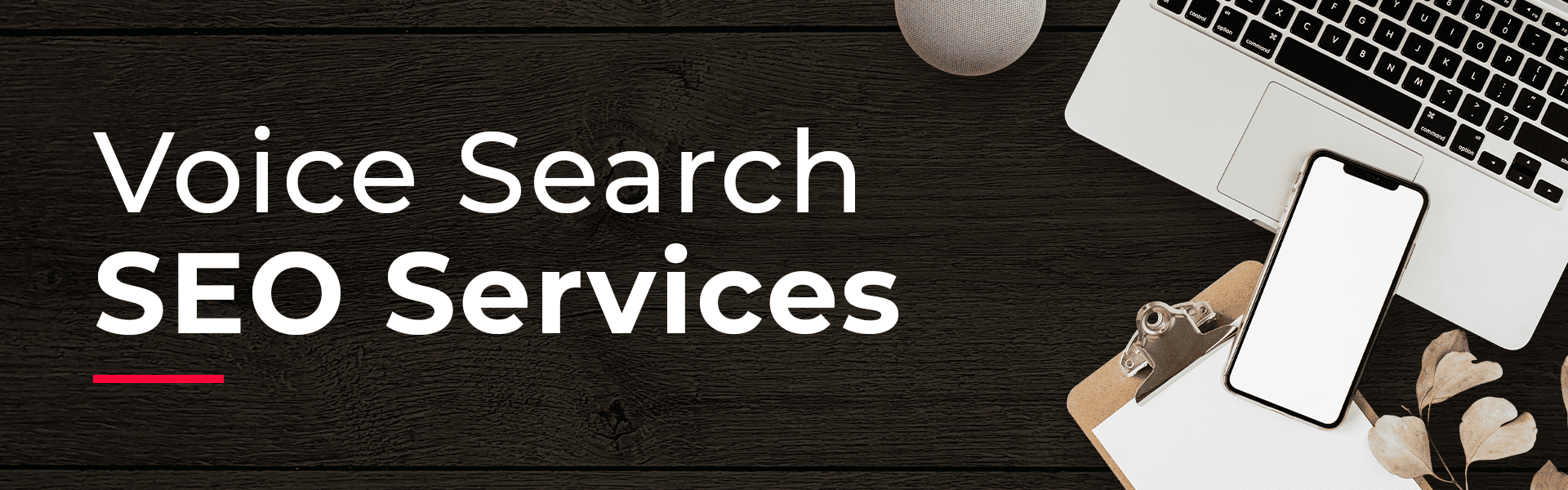 Voice Search SEO Services header banner